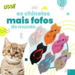 Chinelo De Gatinho