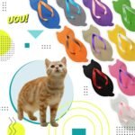 Chinelo De Gatinho