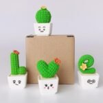 Plantas Suculentas Cactos