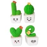 Plantas Suculentas Cactos